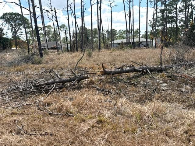 245 Moon River Avenue, Lake Placid FL 33852