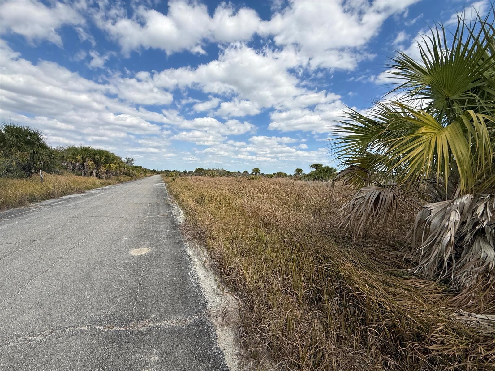 1771 Camilo Circle SW, Palm Bay FL 32908