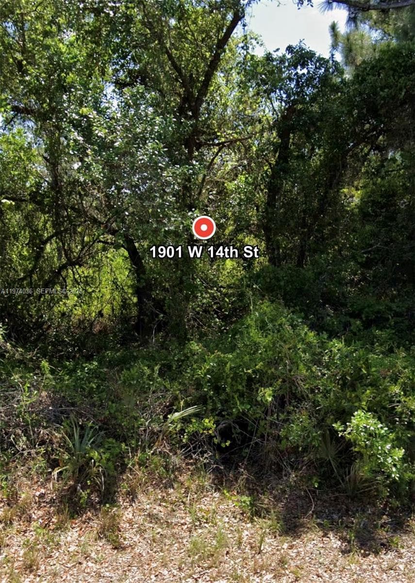 1901 W 14th St, Lehigh Acres FL 33972