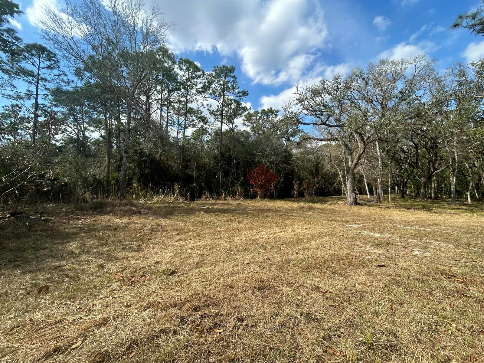 855 NW 368th Drive, Okeechobee FL 34972