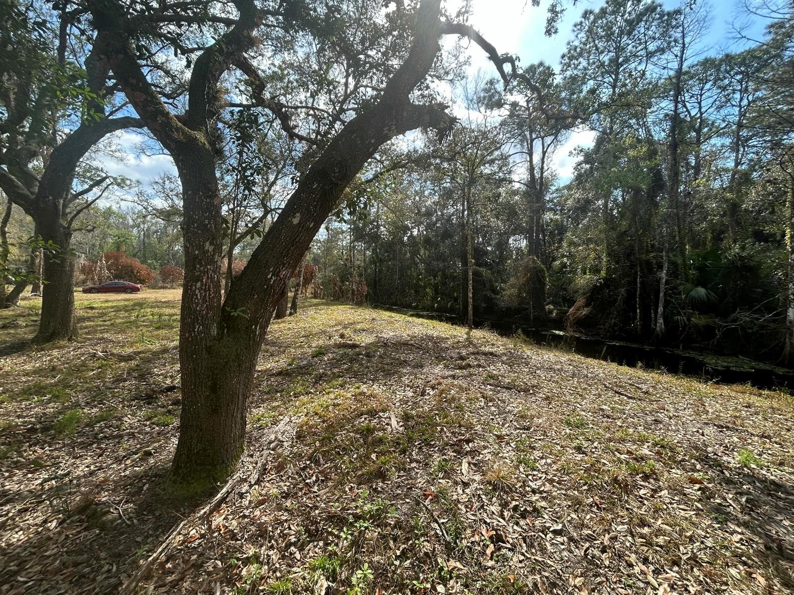 855 NW 368th Drive, Okeechobee FL 34972