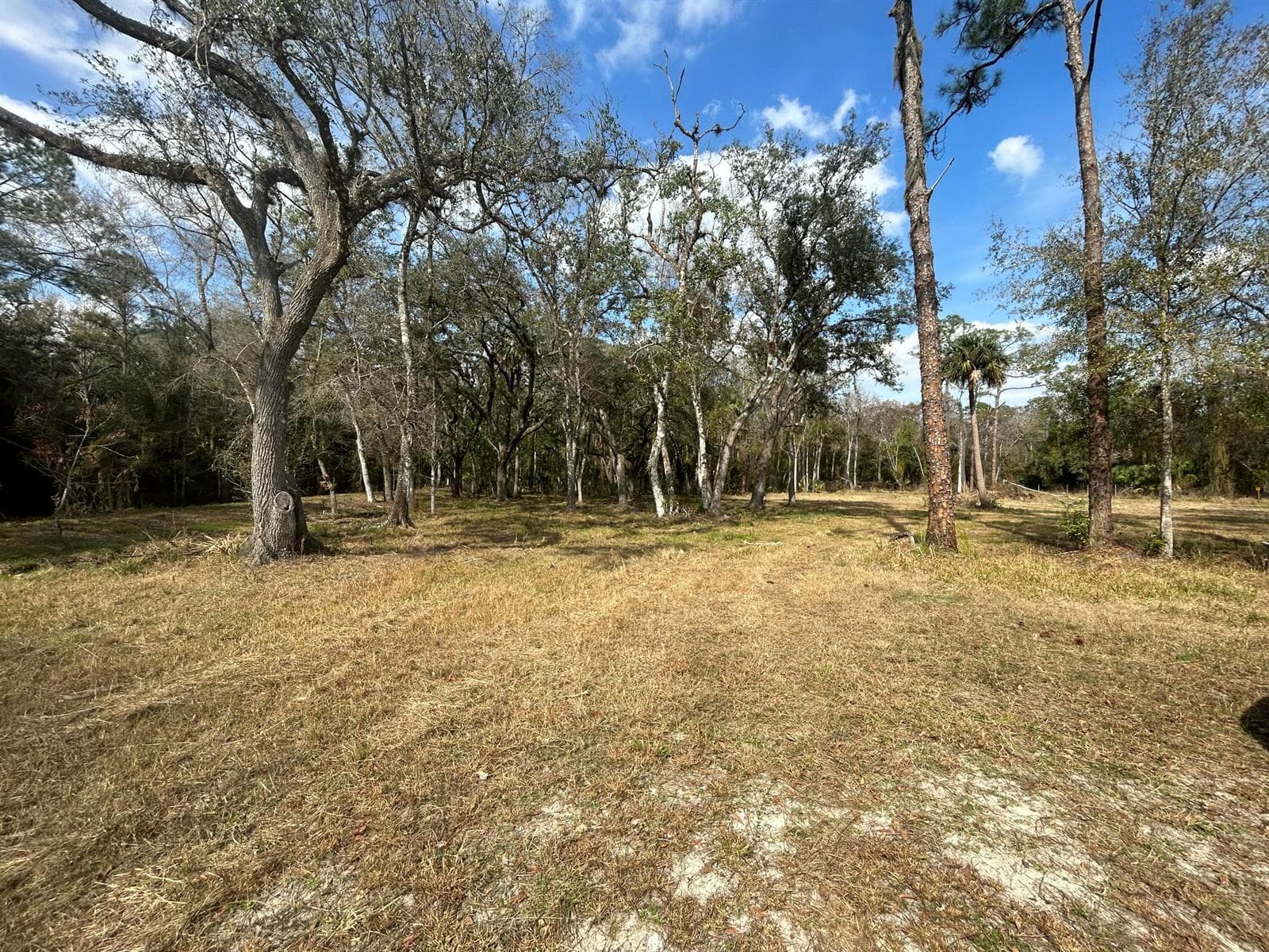 855 NW 368th Drive, Okeechobee FL 34972