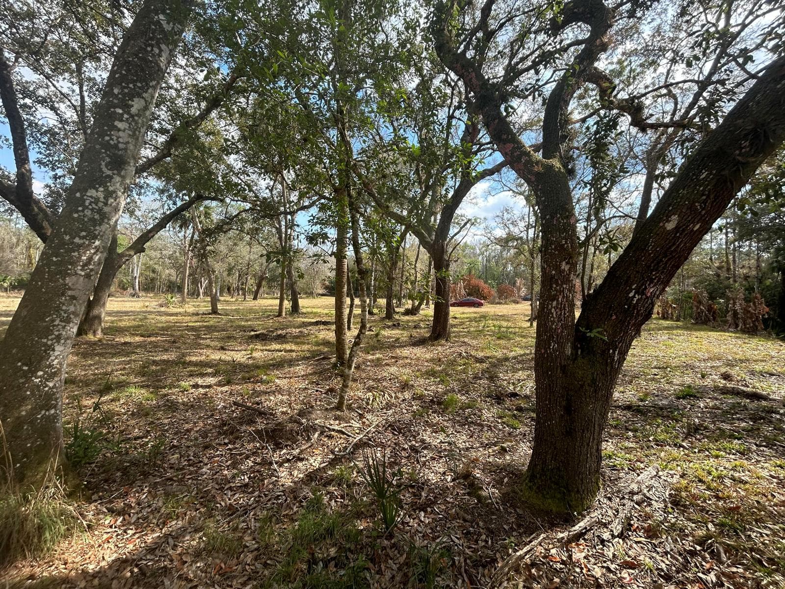 855 NW 368th Drive, Okeechobee FL 34972
