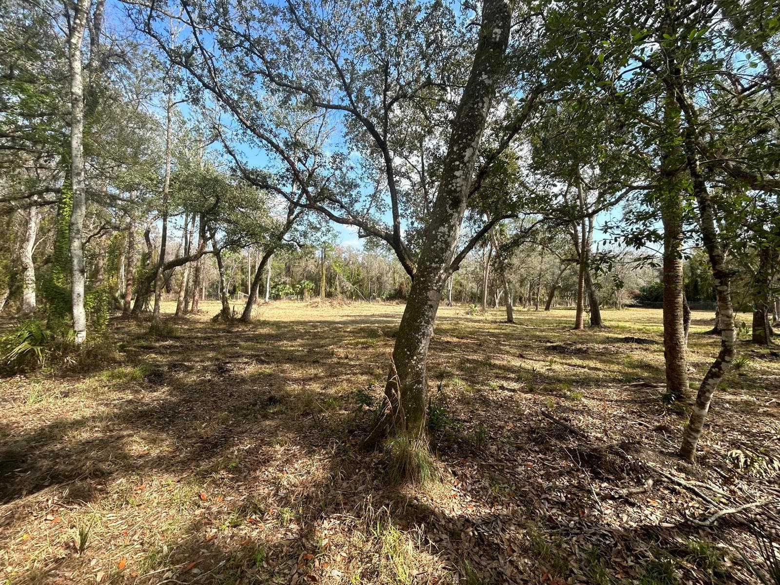 855 NW 368th Drive, Okeechobee FL 34972