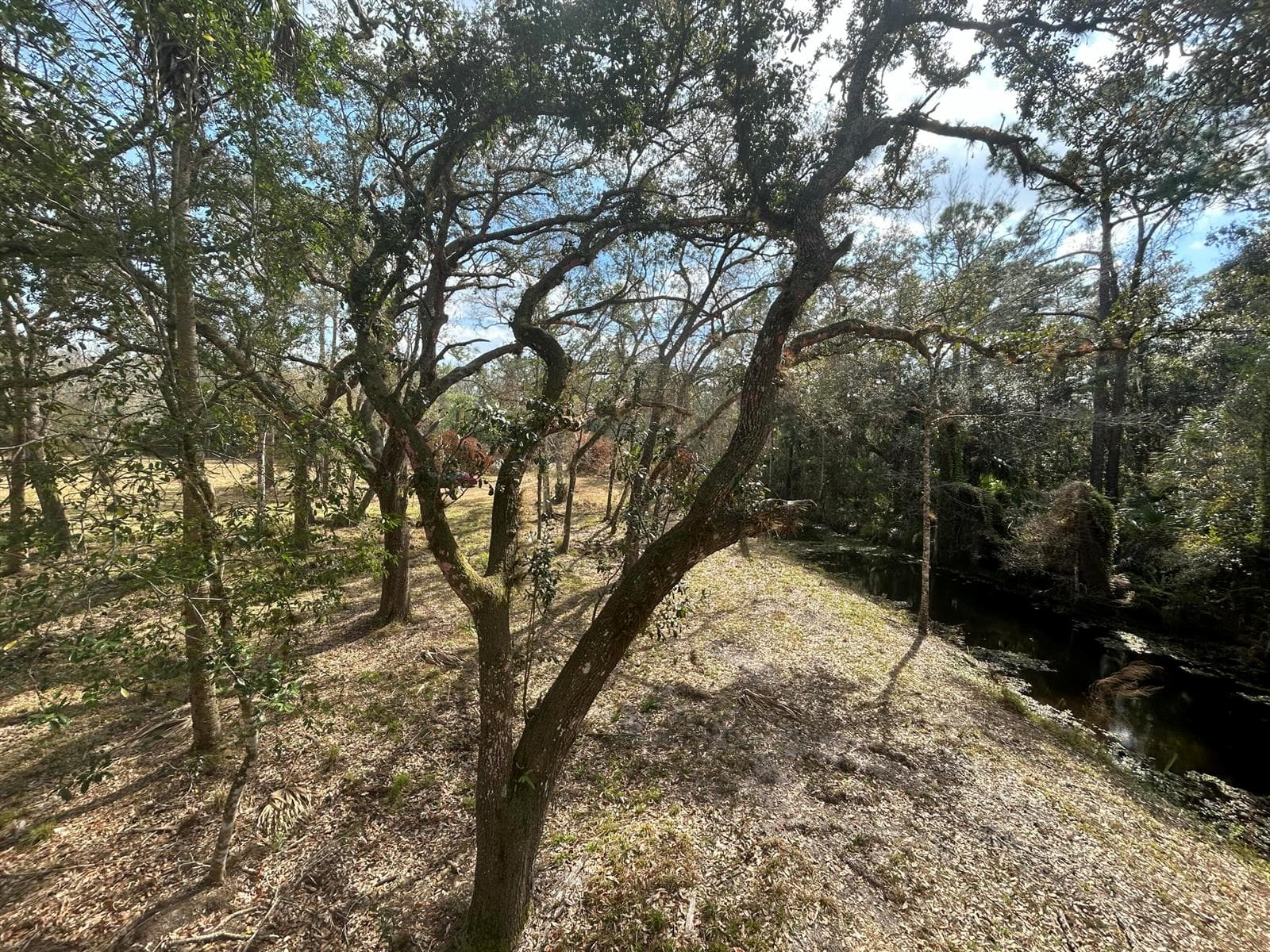 855 NW 368th Drive, Okeechobee FL 34972