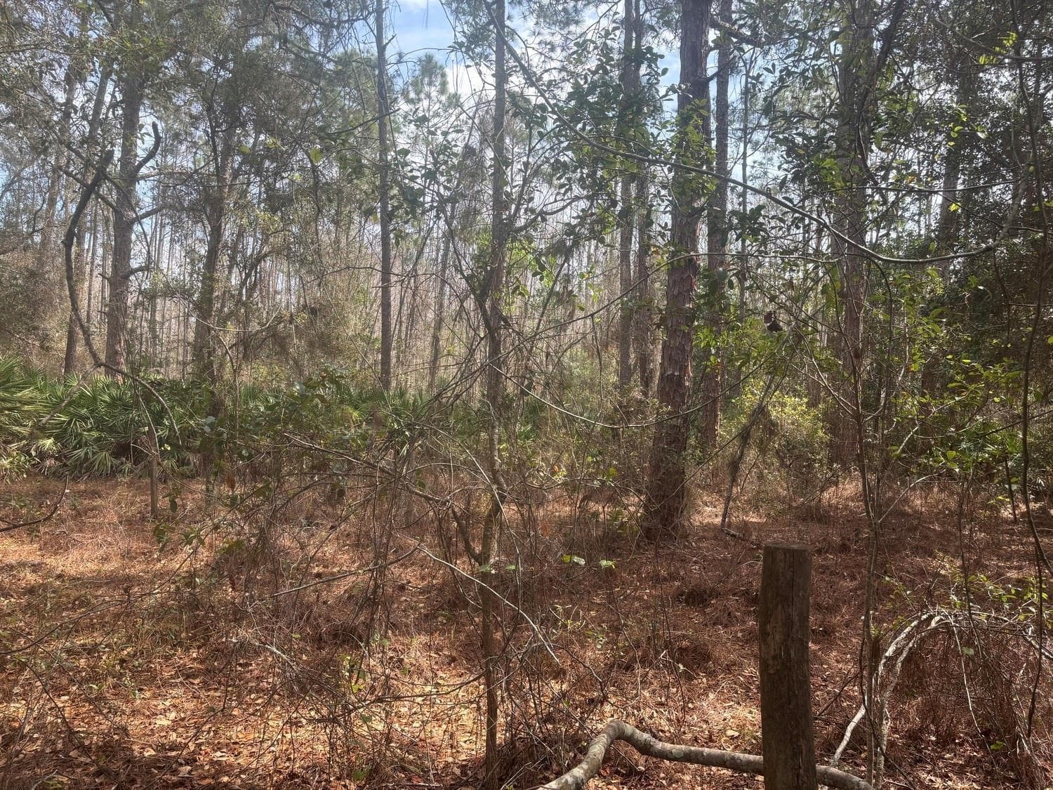 0 Old Grade Road, FL 33868