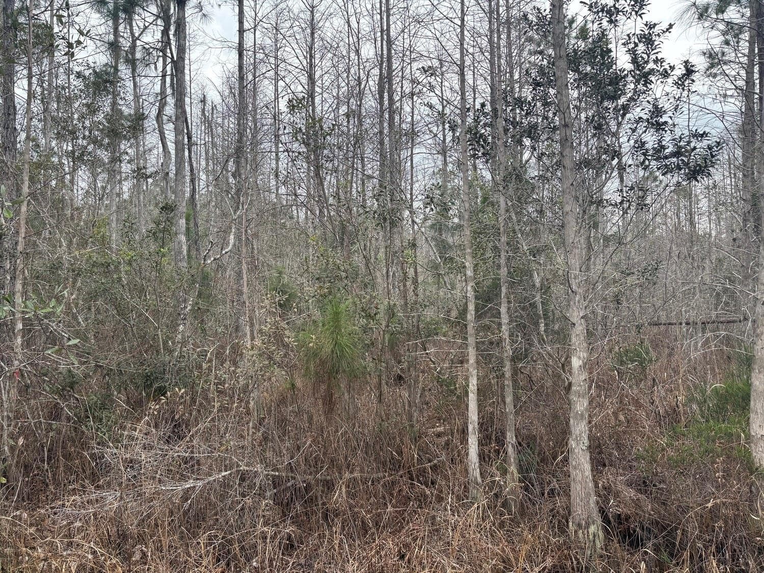 0 Old Grade Road, FL 33868