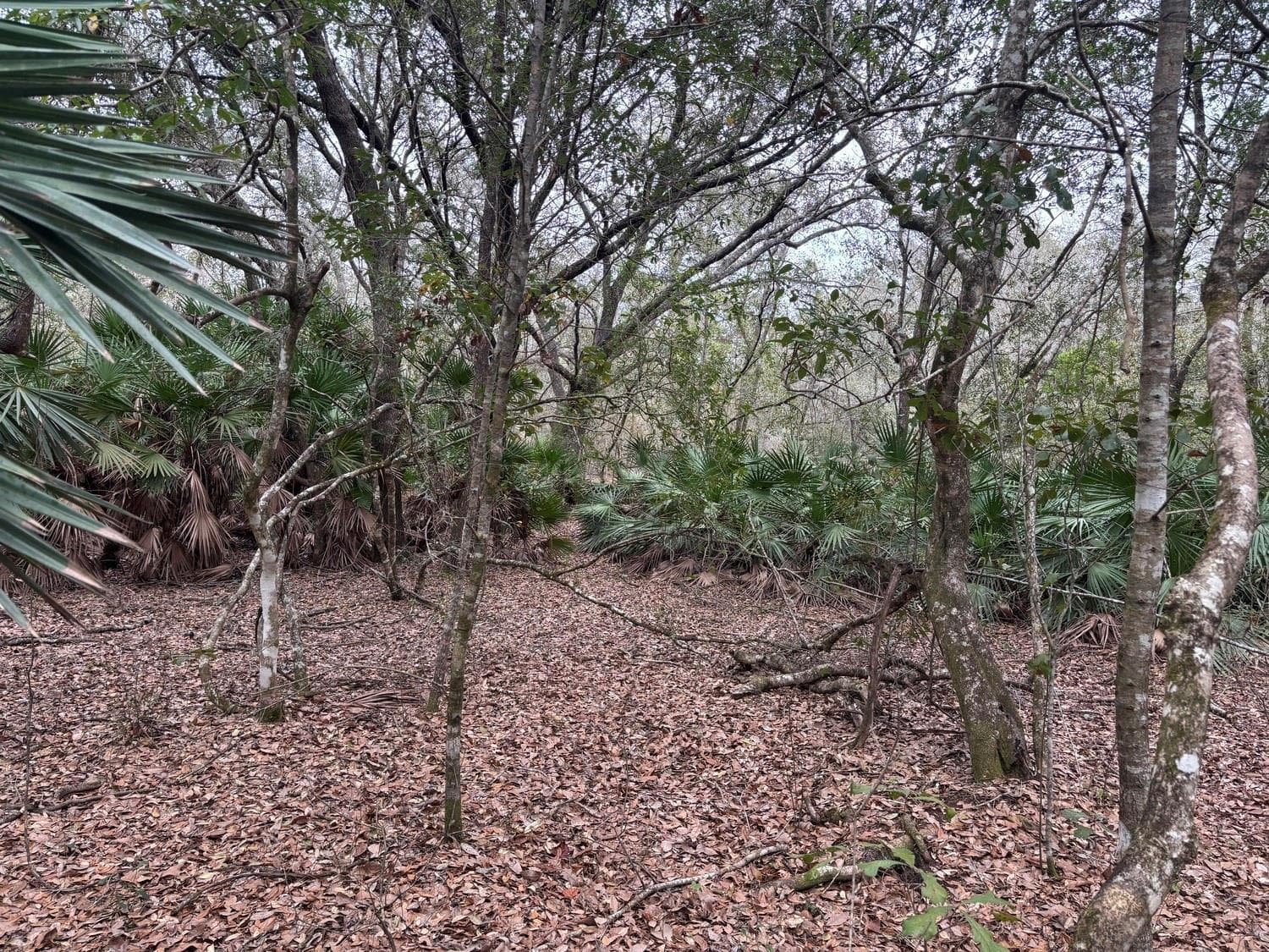 0 Old Grade Road, FL 33868