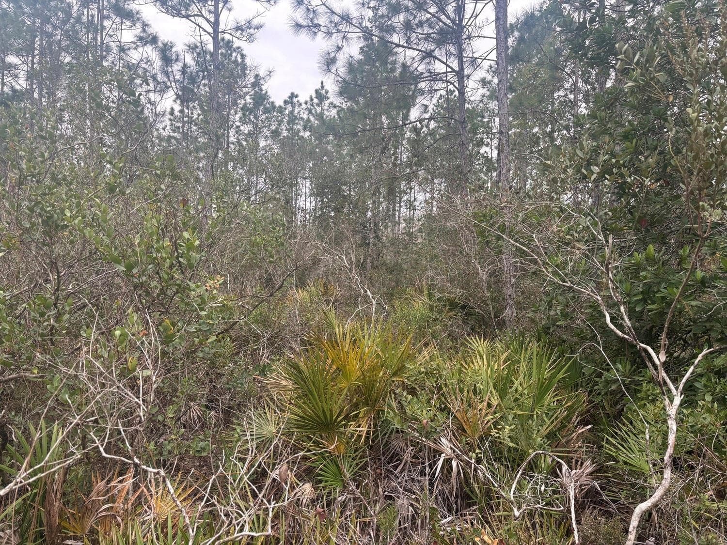 0 Old Grade Road, FL 33868