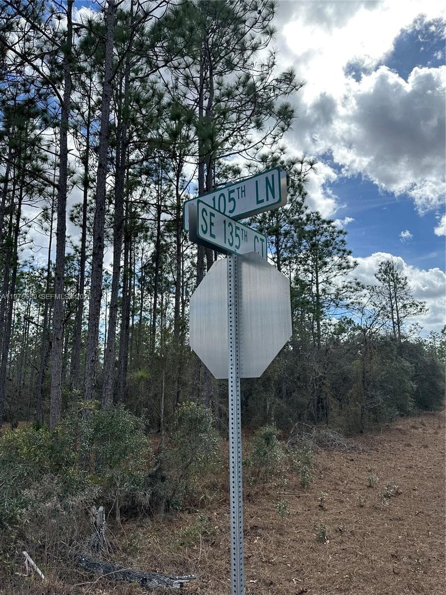 Other City - In The State Of Florida, FL, 34431