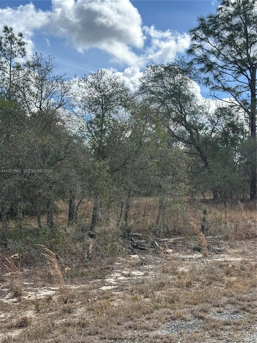 Ocala, FL, 34481