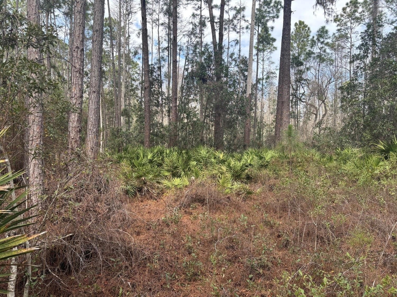 0 Old Grade Road, FL 33868