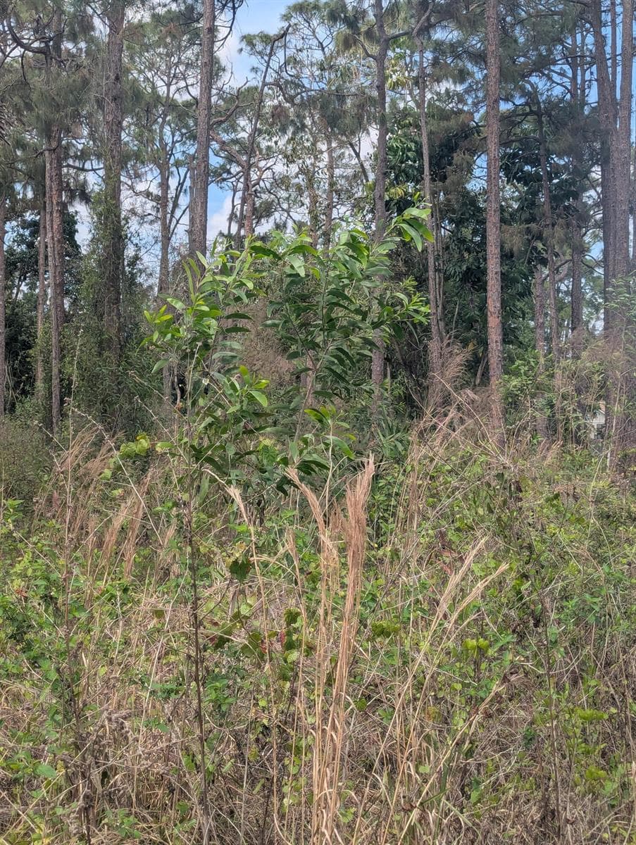 PXL_20260315_162131260