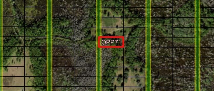 0 Old Grade Road, FL 33868