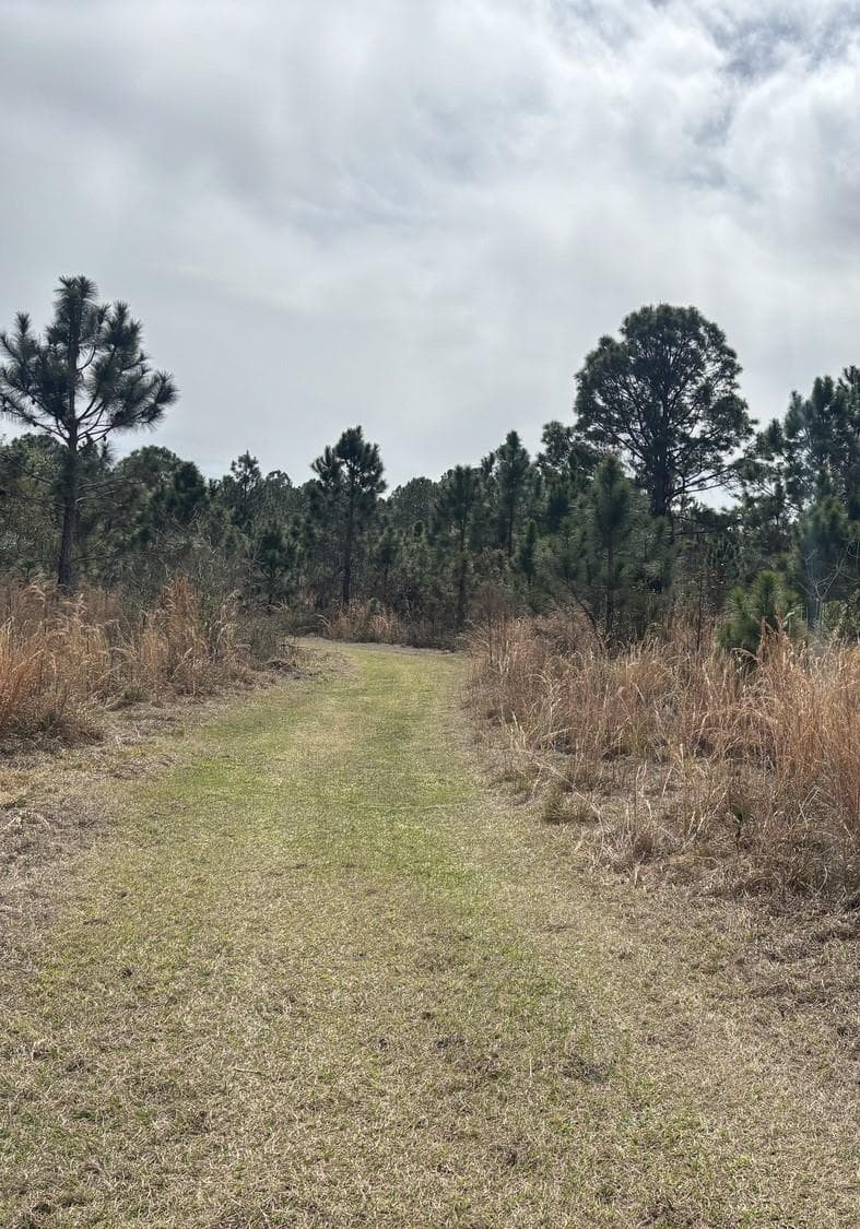 0 Old Grade Road, FL 33868