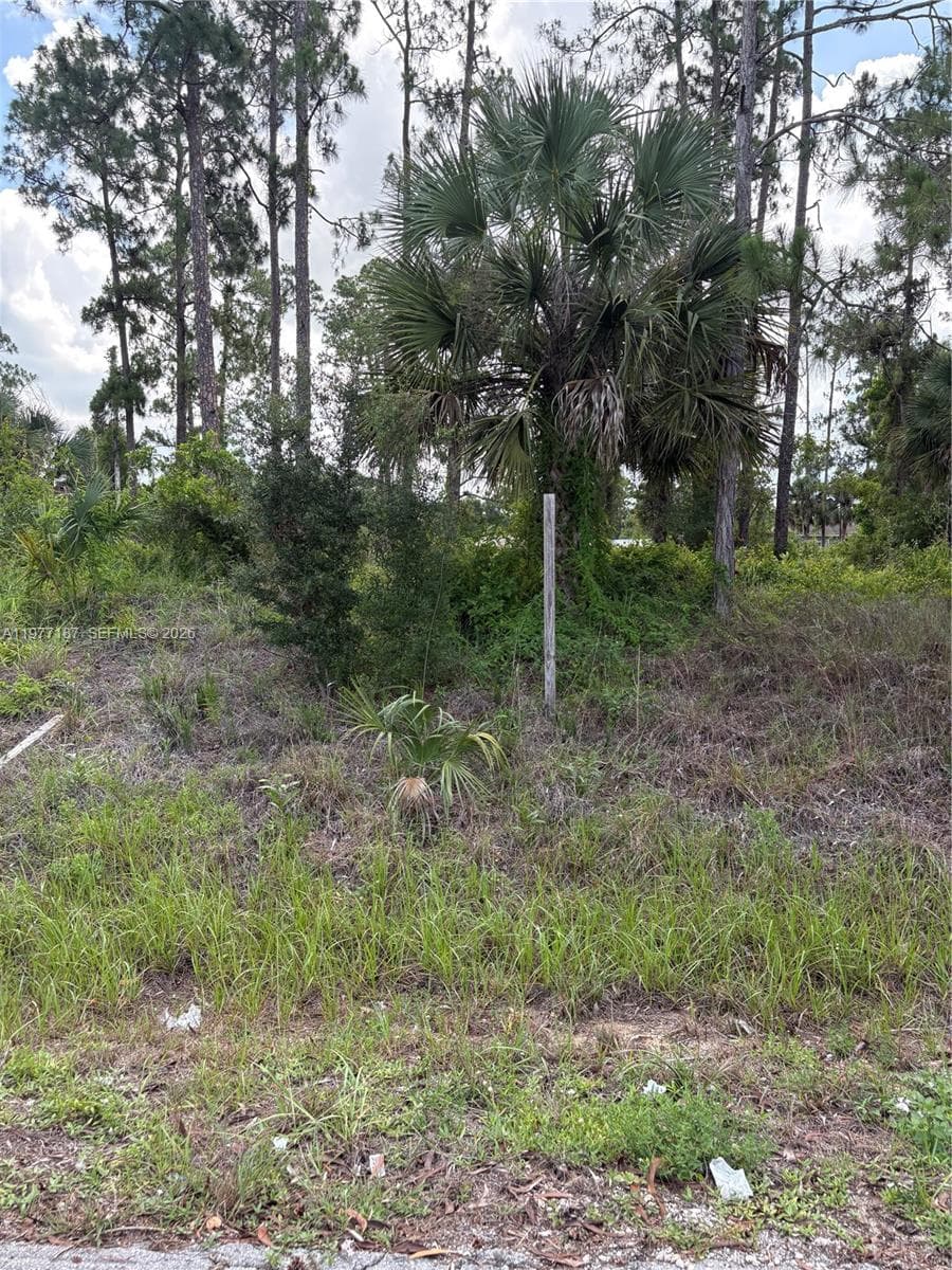 718 Columbus Avenue, Lehigh Acres FL 33972