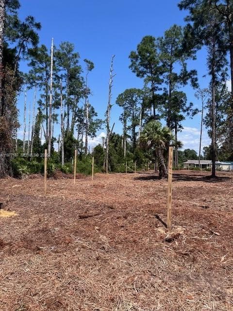 718 Columbus Avenue, Lehigh Acres FL 33972