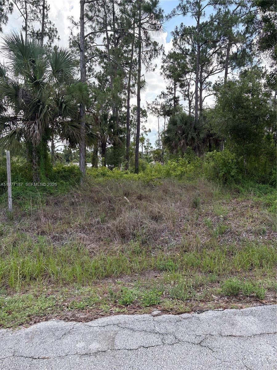 718 Columbus Avenue, Lehigh Acres FL 33972