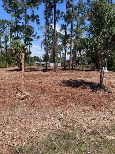 718 Columbus Avenue, Lehigh Acres FL 33972