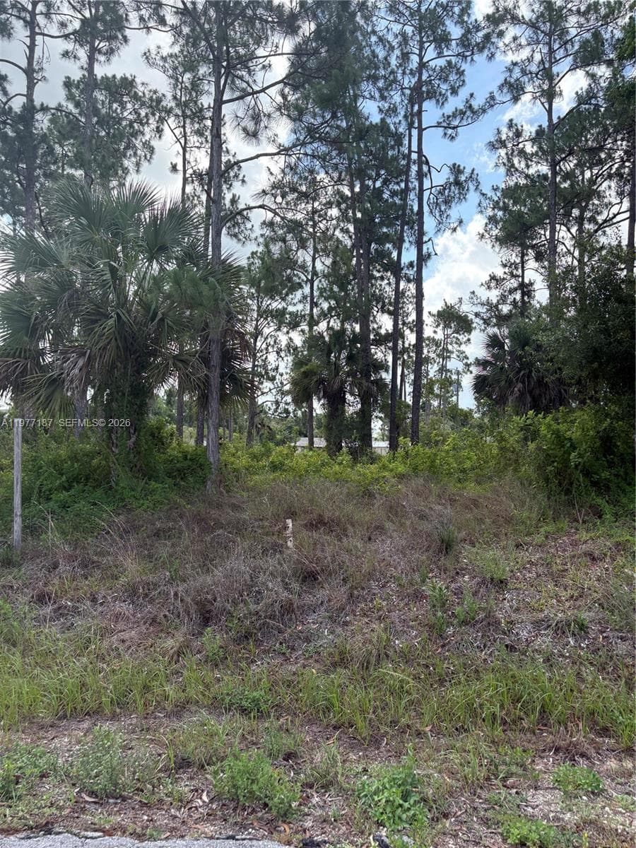 718 Columbus Avenue, Lehigh Acres FL 33972