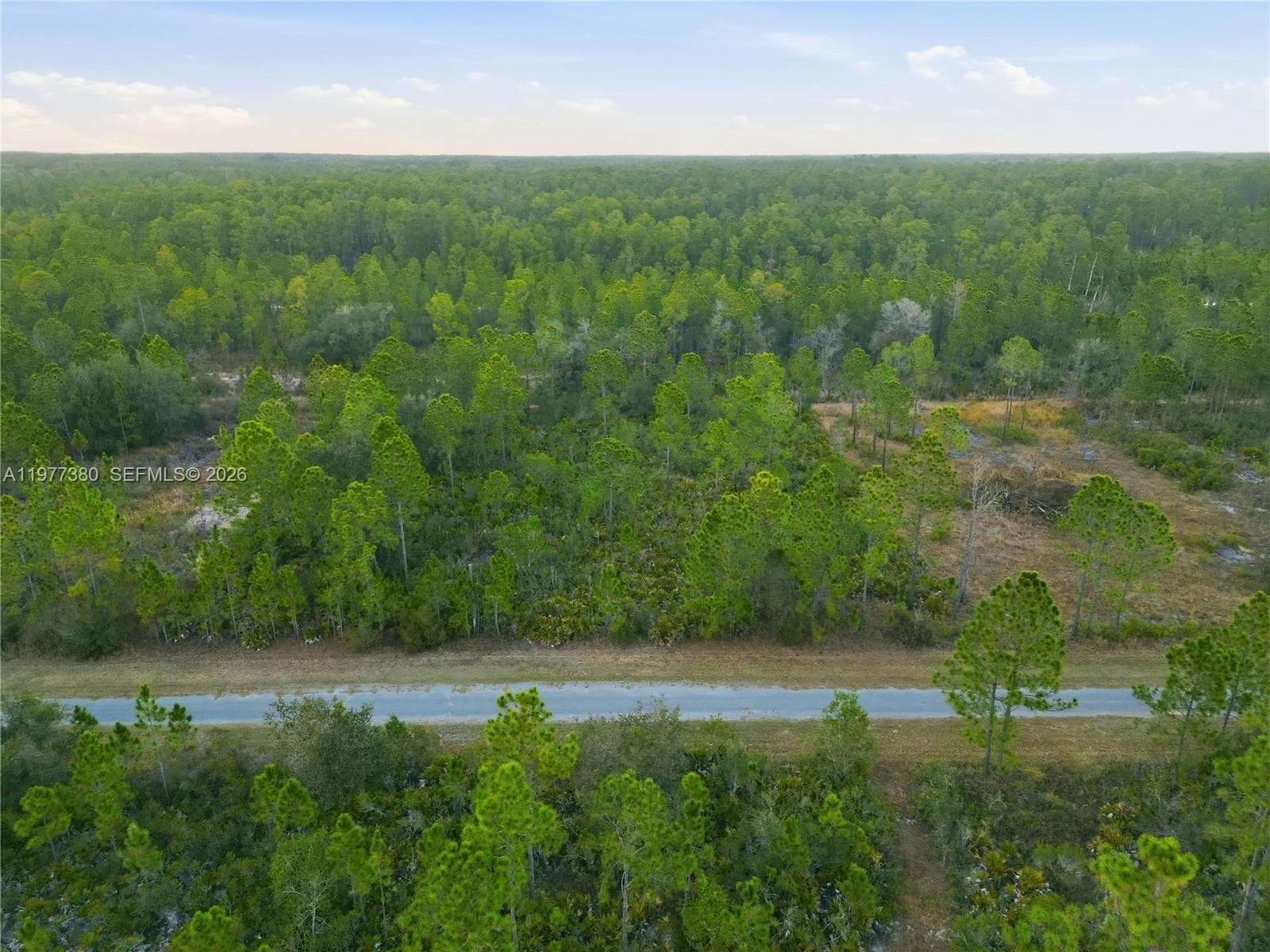310 TROPICANA DR, Lake Wales FL 33855