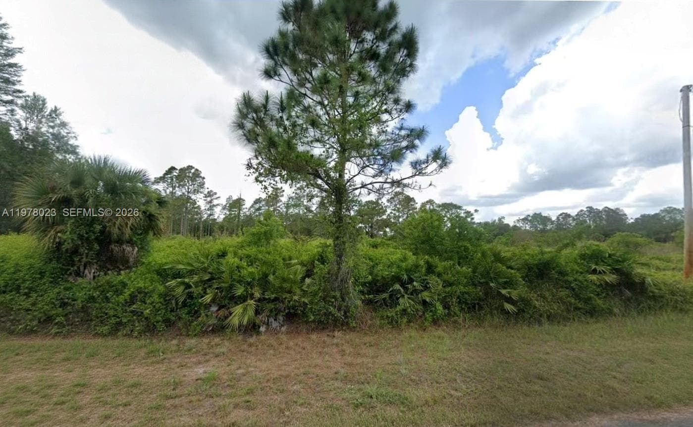 1021 LEROY AVE, Lehigh Acres FL 33972