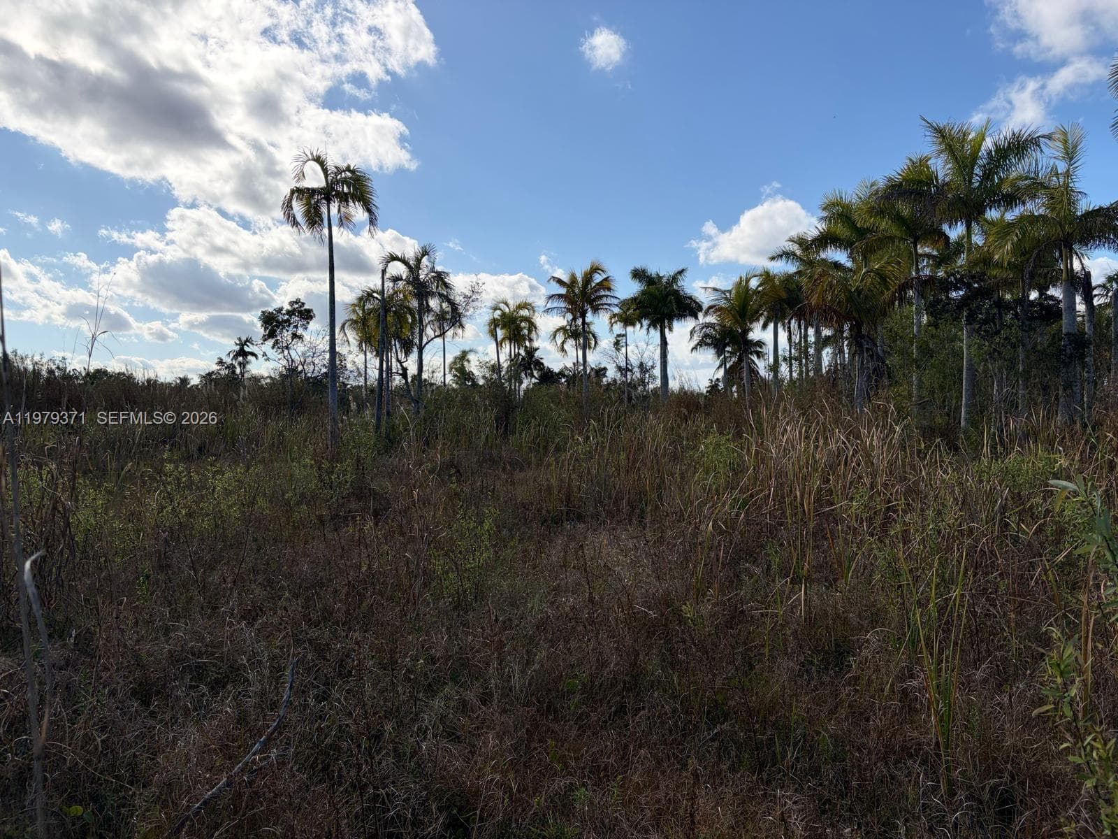 406 St & 212 Avenue 406 St & 212 Avenue, Florida City FL 33034