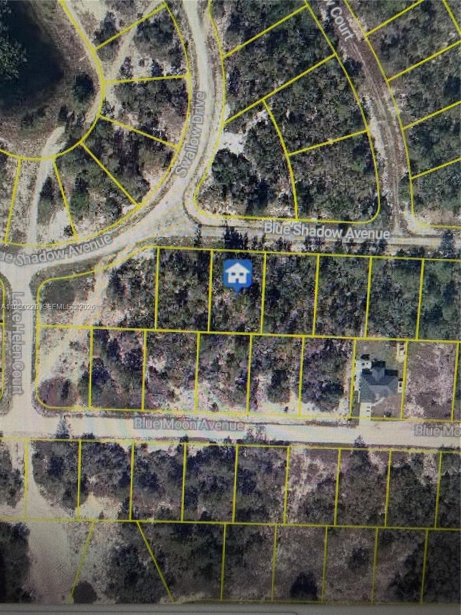 459 RUBA AVE, Lake Placid FL 33852