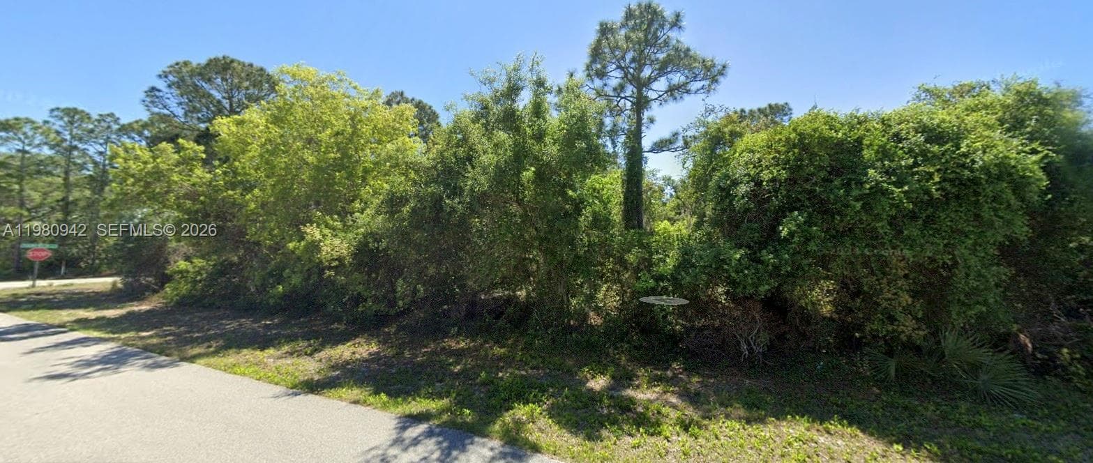 235 Deerwalk Ave, Lake Placid FL 33852