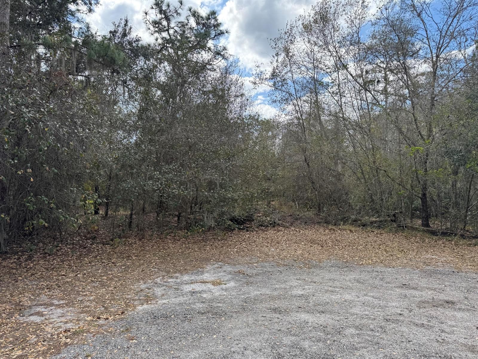 000 1st Street, FL 34739