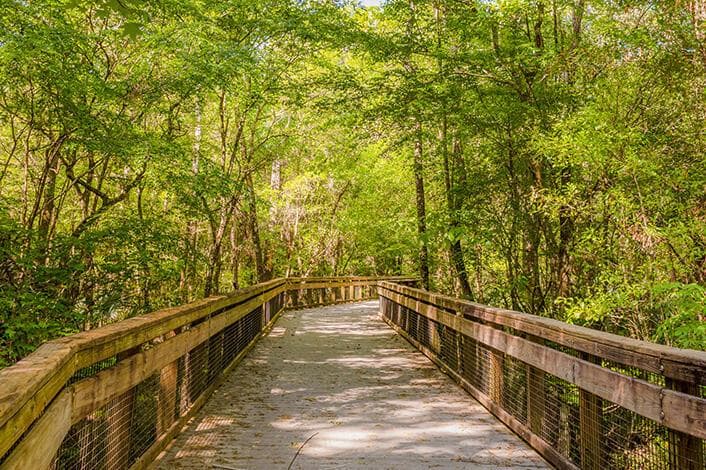 Rainbow Springs: Hiking Nature Trail