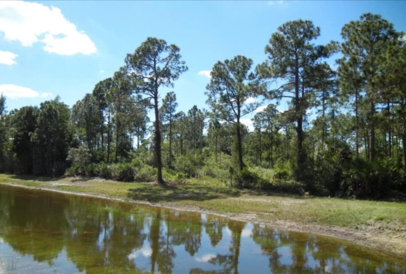 Surrounding Canal