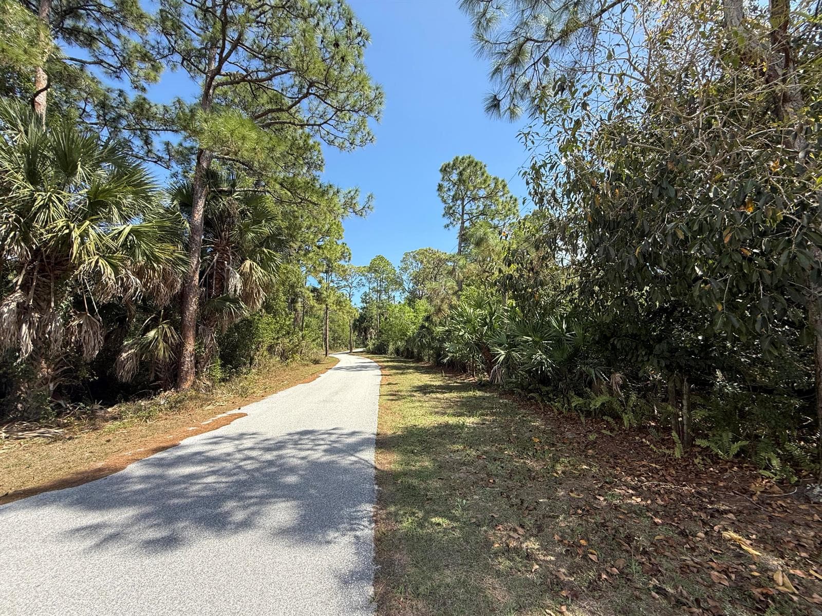 Paved Road