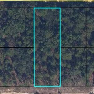 6183 Juilliard Avenue, FL 32656