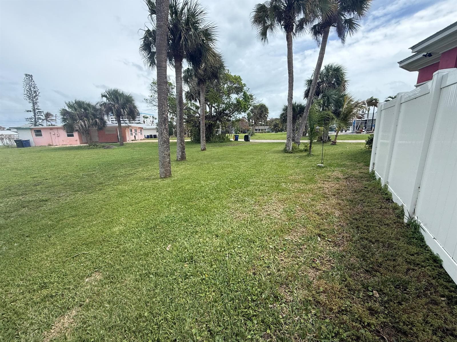 Back of parcel - New Palms were planted