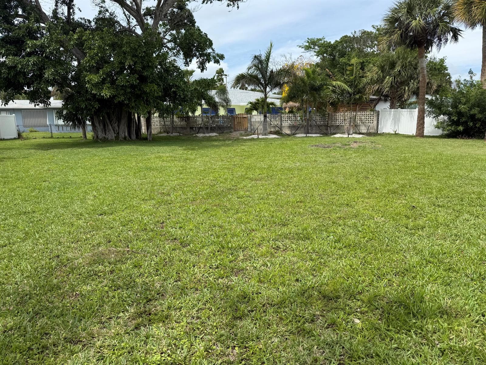Rear of the lot