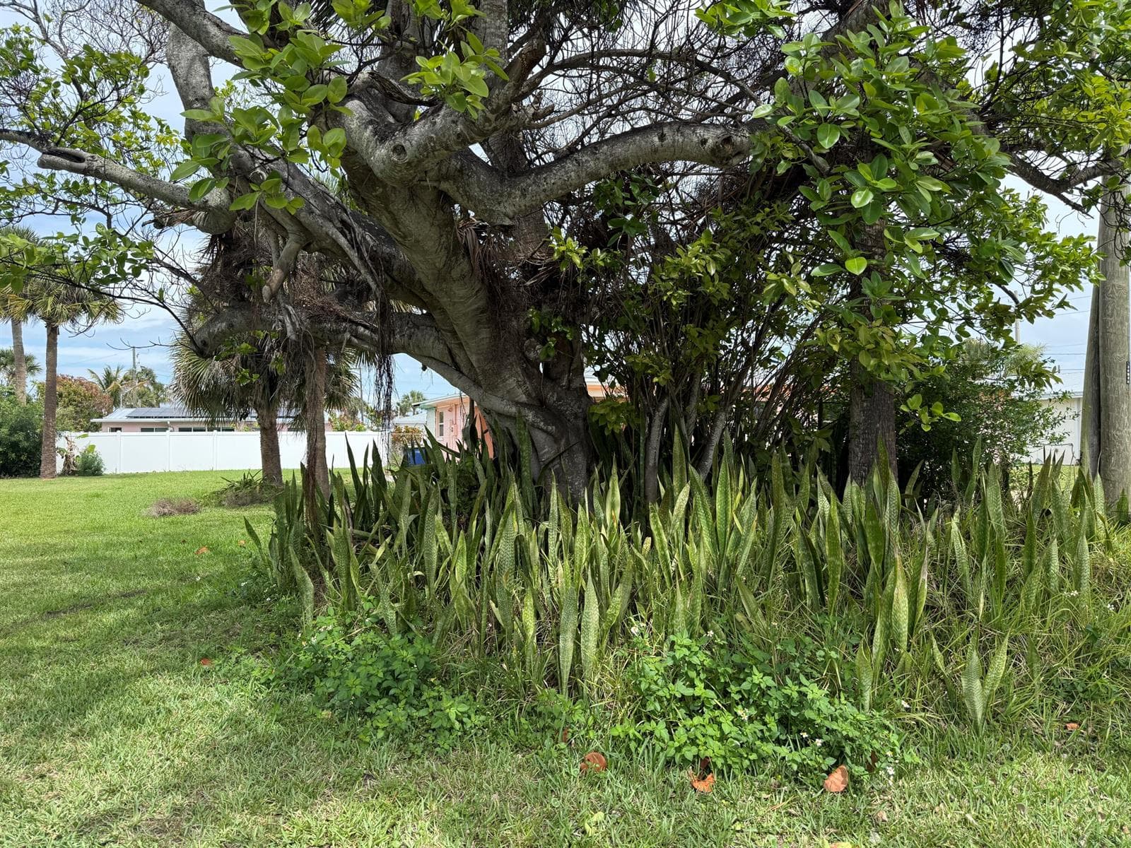 Right Corner of Lot