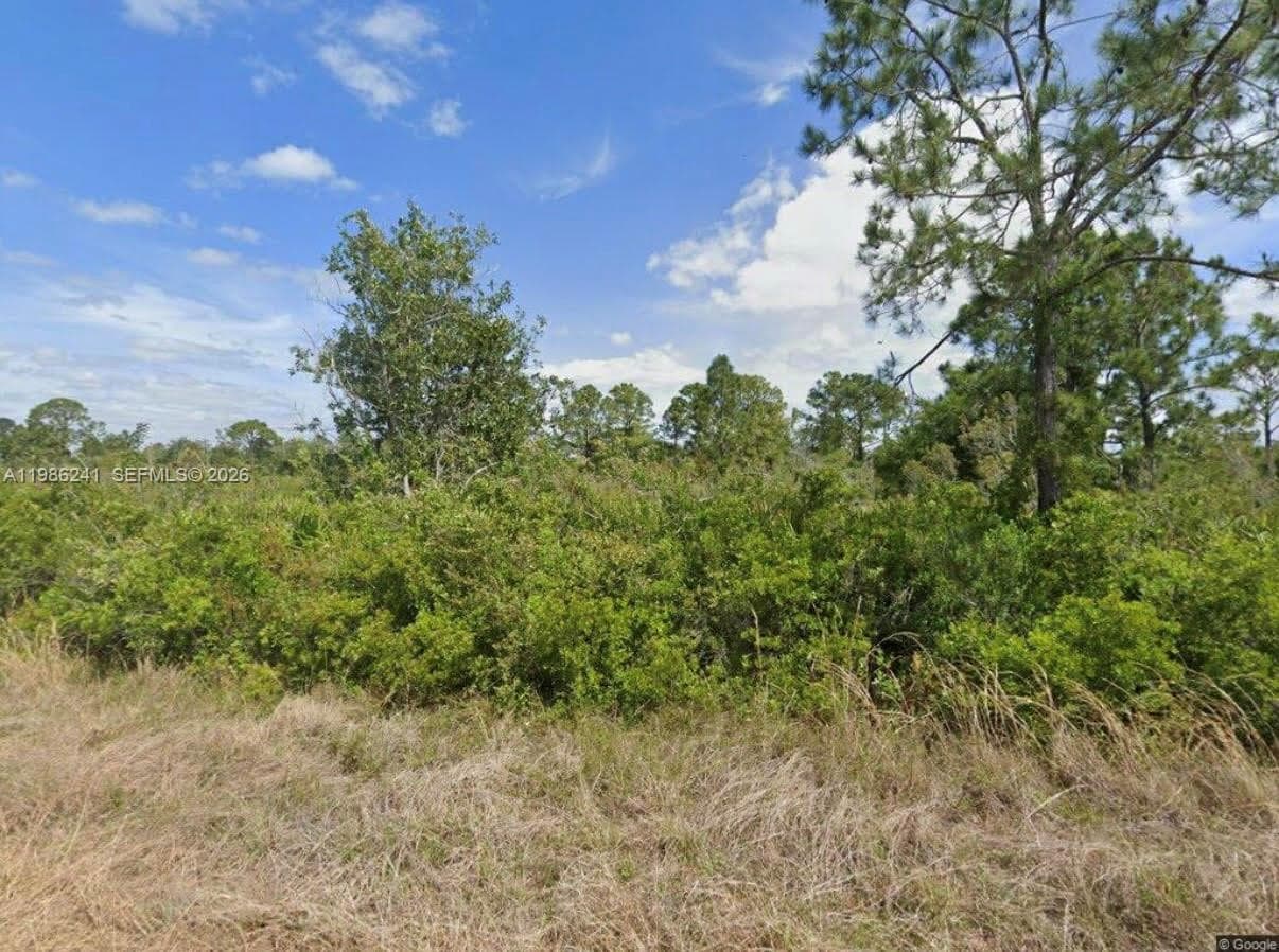 1081 BEAVER ST, Lake Placid FL 33852