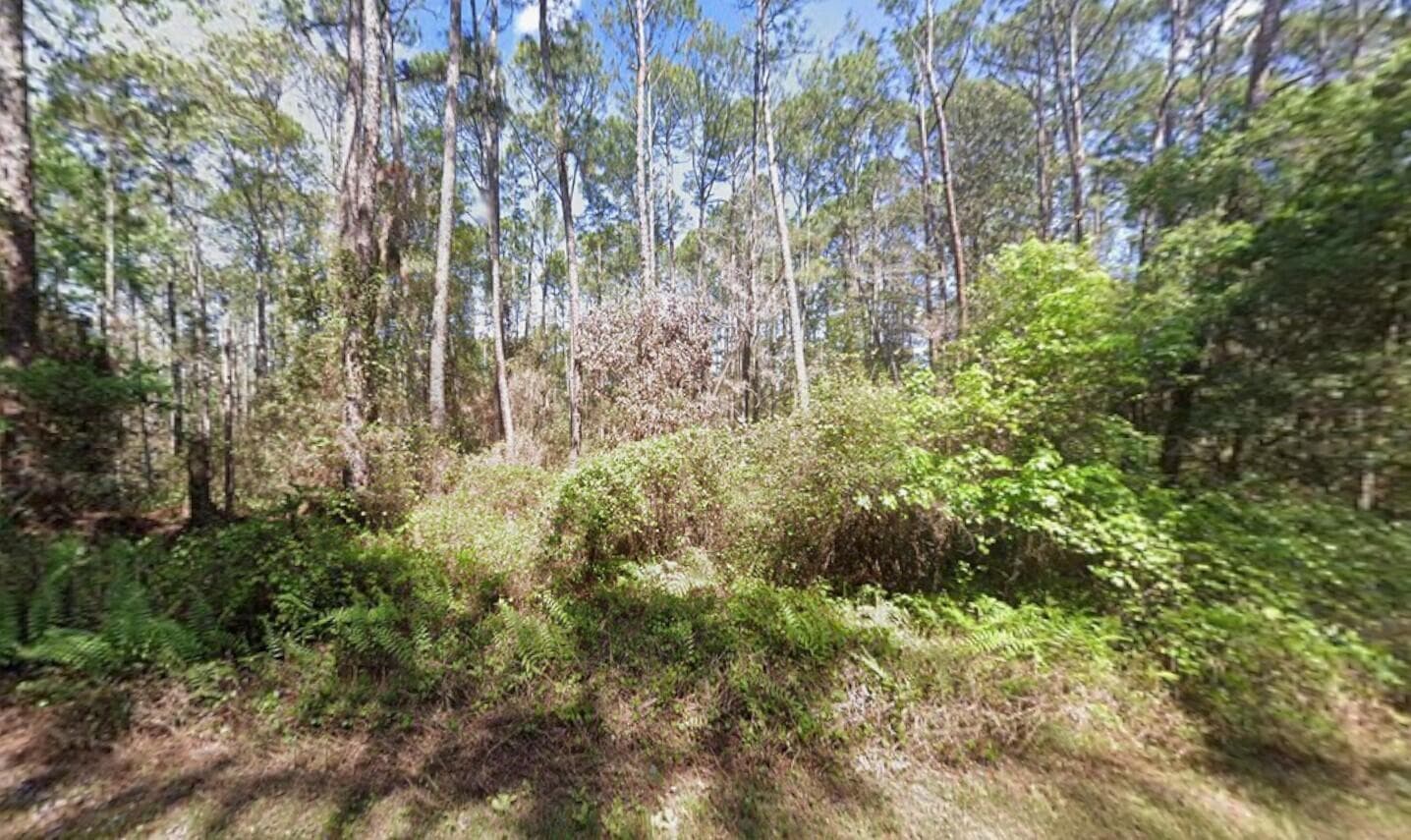 416 Palm Way, FL 32139