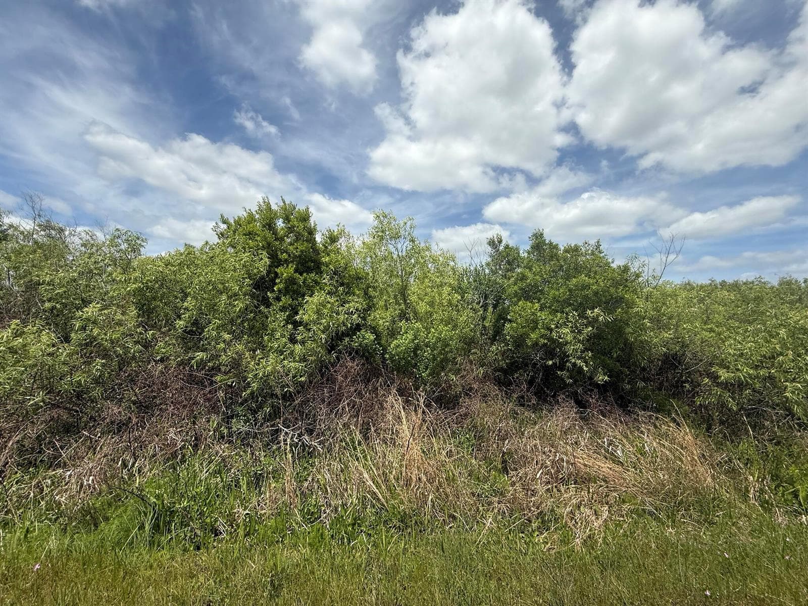 15837 NW 282nd Street, Okeechobee FL 34972