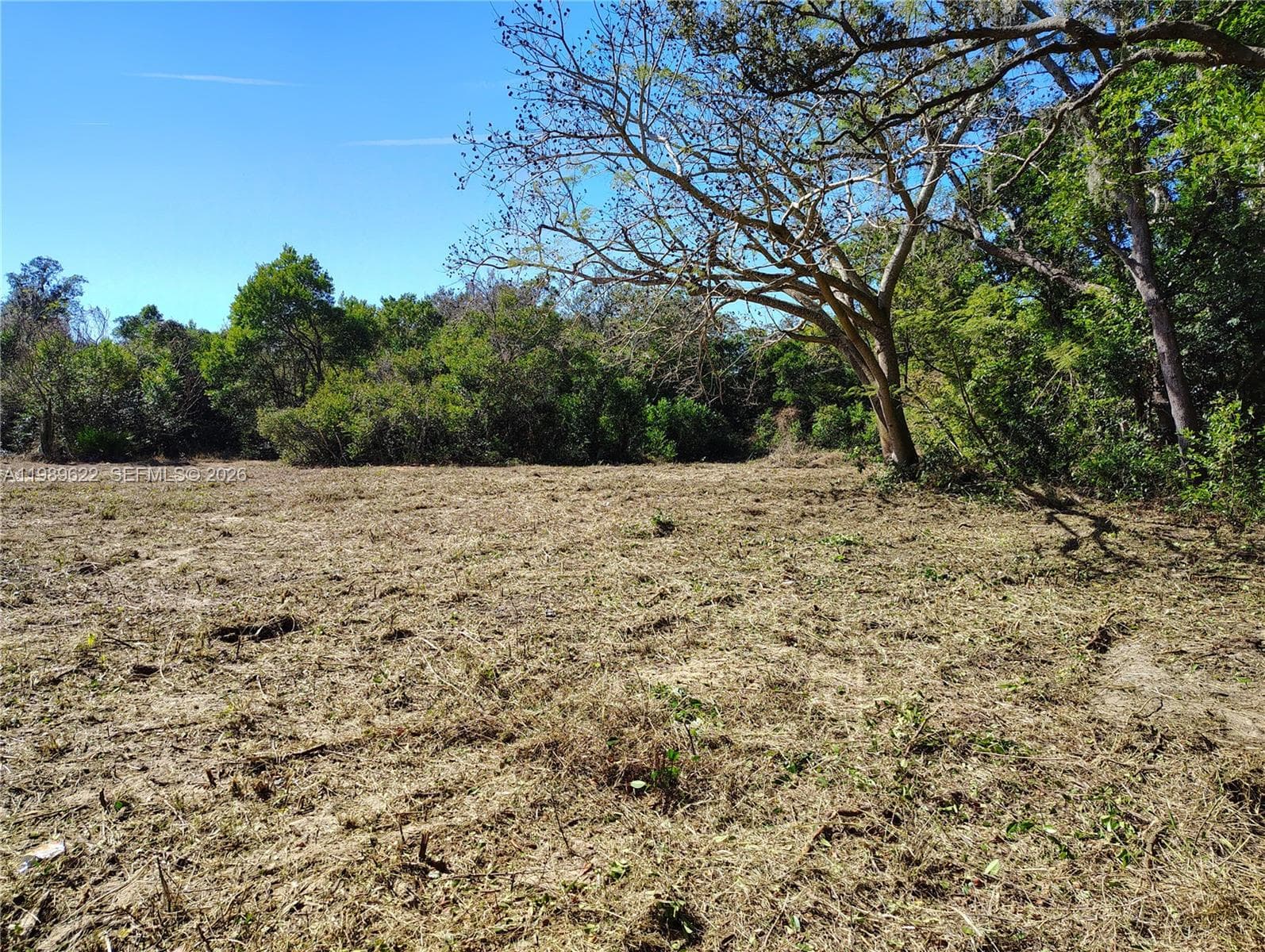 3505 Bethune, Sebring FL 33876
