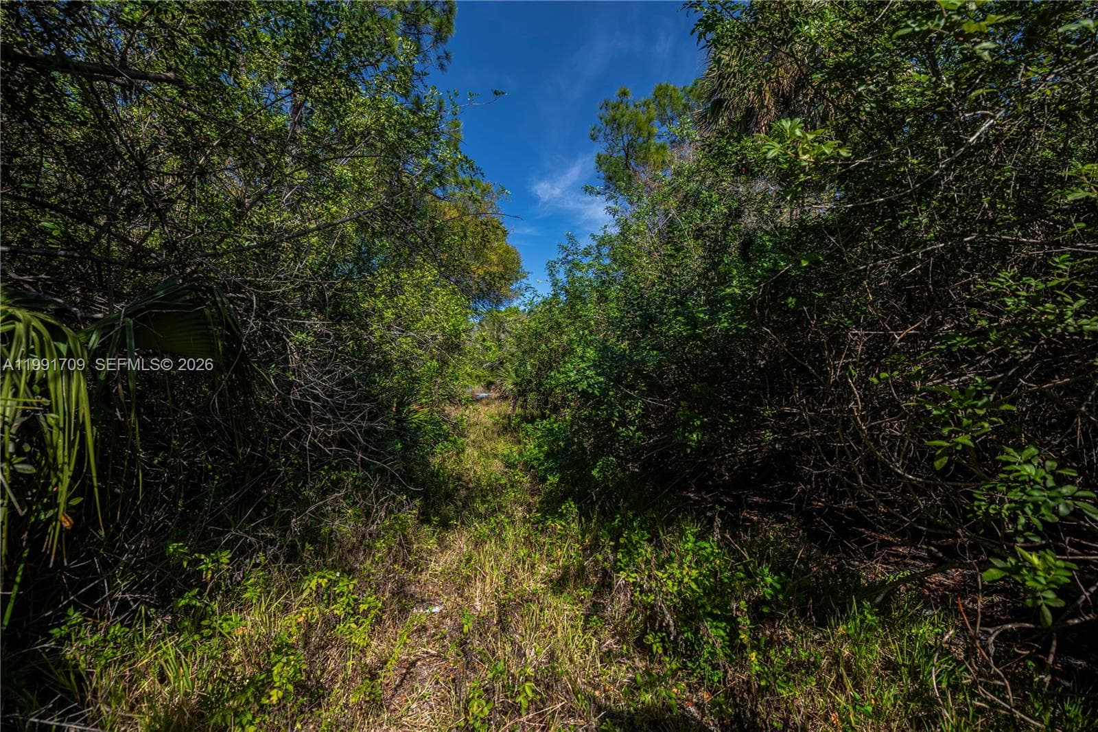 850 G RD, La Belle FL 33935