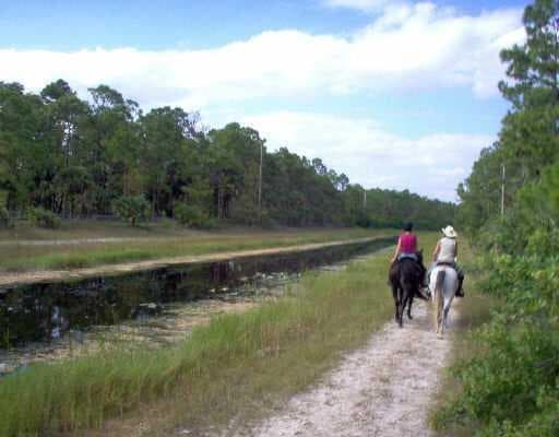 LOVELY HORSE TRAILS