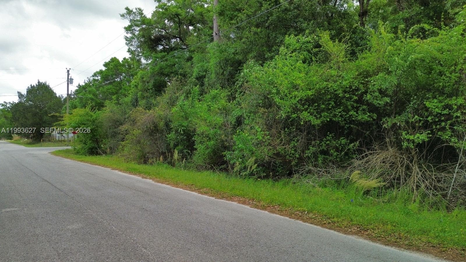 NW 114 ct, Ocala FL 34421