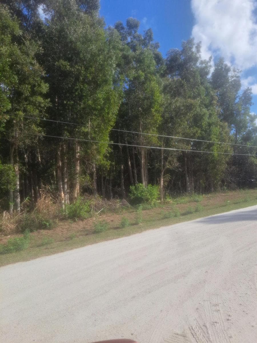 14845 62nd Court N, FL 33470