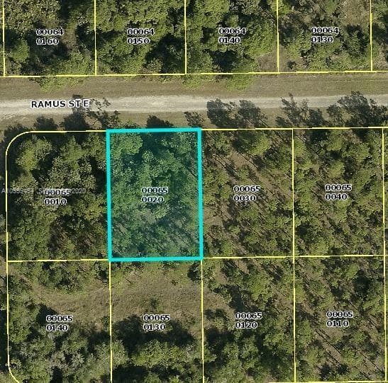 1238 Ramus Street E, Lehigh Acres FL 33974
