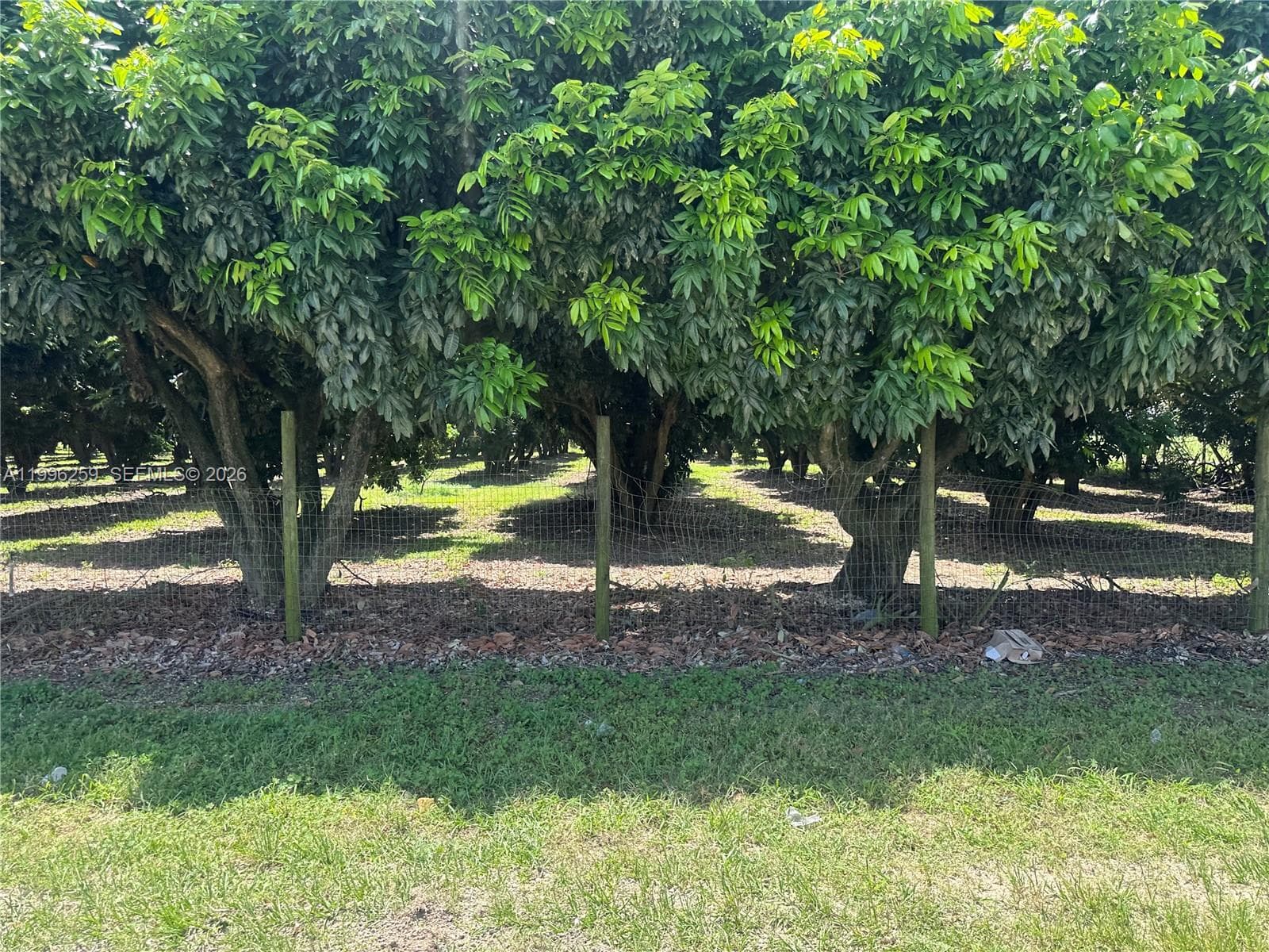 206XX SW 344 ST, Homestead FL 33034
