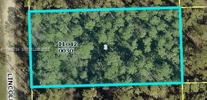1120 Lincoln Ave, Lehigh Acres FL 33972