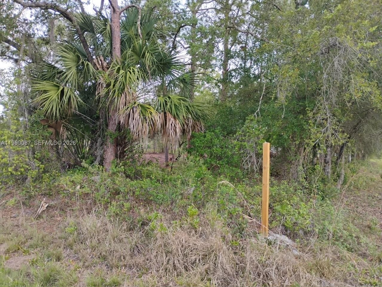 845 Appaloosa Avenue, Clewiston FL 33440