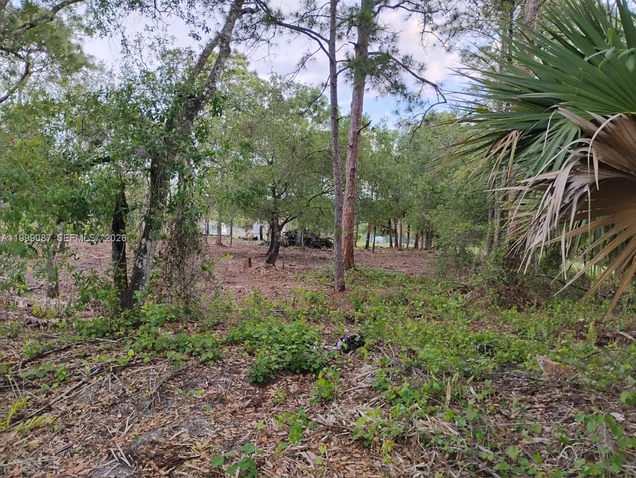 845 Appaloosa Avenue, Clewiston FL 33440